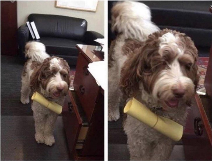 Things people do when bored